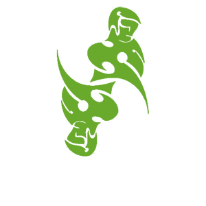 ����������� �� ����������� ������-������� �������� ��������� - ���� ������� - ������ �� 52 ���.