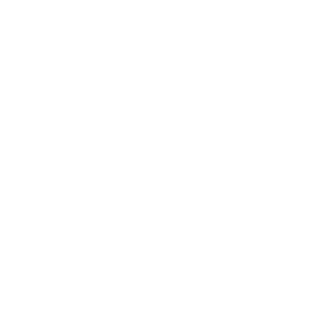  Apple (logo)