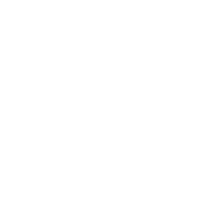        -   65 .