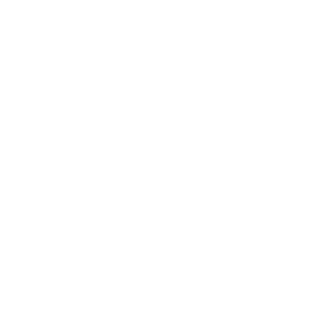         -   161 .