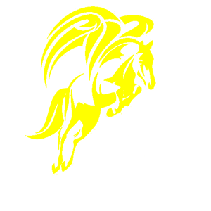       -   141 .