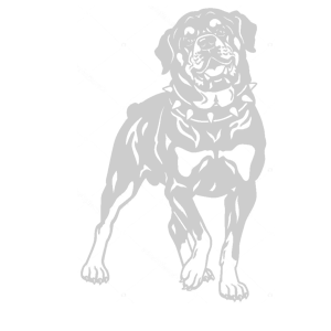    -   154 .