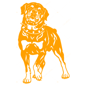       -   154 .