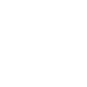       (Divnogorsk) -   133 .