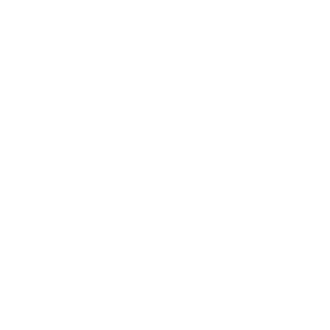       (Zheleznovodsk) -   133 .