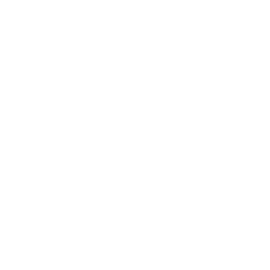       -   -   100 .