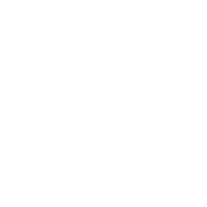       (Ruzayevka) -   133 .