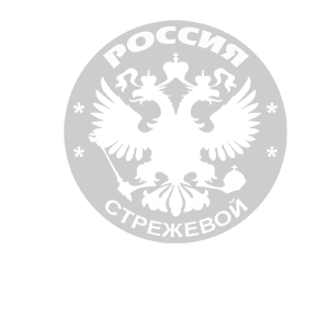 -  ̆ (Strezhevoy) -   133 .