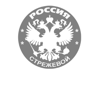   ̆ (Strezhevoy) -   133 .