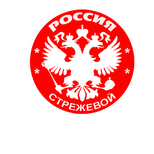   ̆ (Strezhevoy) -   133 .