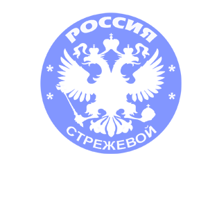   ̆ (Strezhevoy) -   133 .