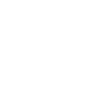         -   133 .