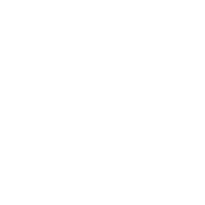          -   133 .