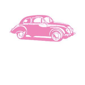      Volkswagen Beetle -   98 .