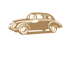 -  Volkswagen Beetle -   98 .
