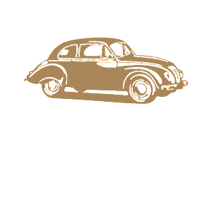    -  Volkswagen Beetle -   98 .