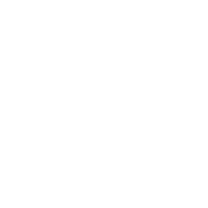      Volkswagen Beetle -   98 .