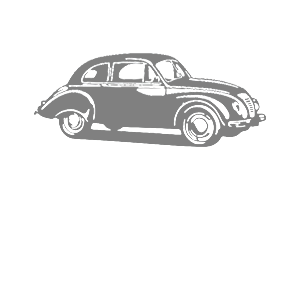      Volkswagen Beetle -   98 .
