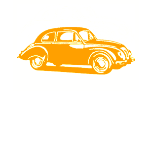      Volkswagen Beetle -   98 .