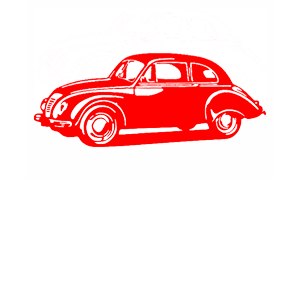   Volkswagen Beetle -   98 .
