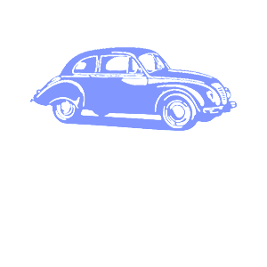      Volkswagen Beetle -   98 .