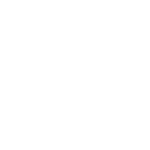    -   133 .