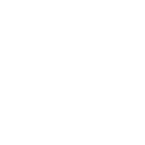        -   133 .