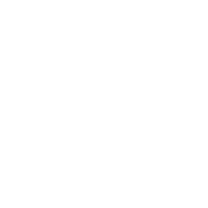        -  -   161 .