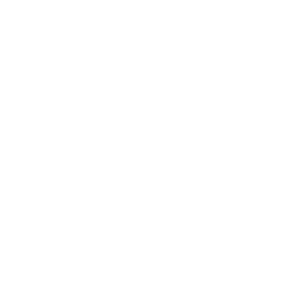   Zombie outbreak -   161 .