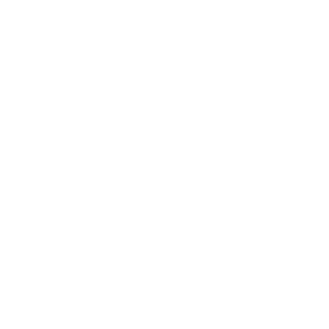      , ,  -   161 .