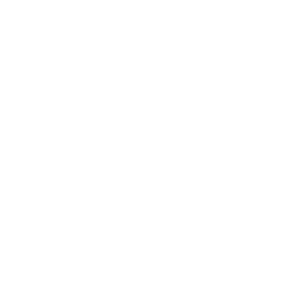      Odyssey -   80 .