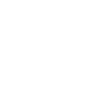  Android vs Apple