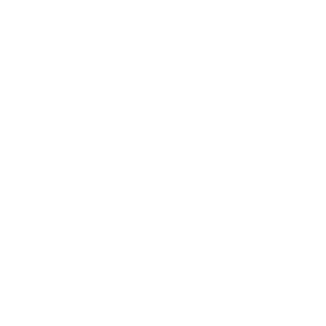      Championship Regatta -   161 .