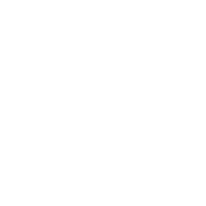       (Chernigovka) -   133 .