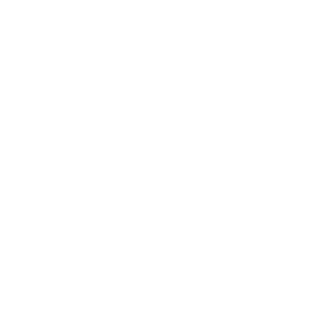     Dodge -   133 .