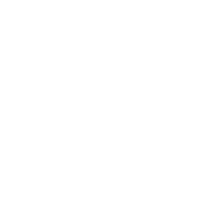          -   161 .