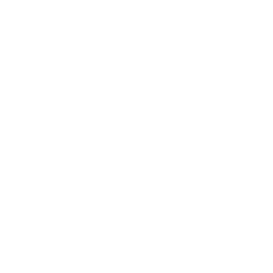    λ -   161 .