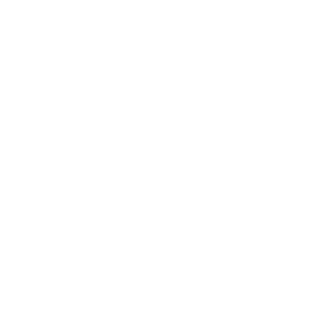       λ -   161 .