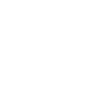        -   161 .