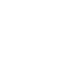      -  -   161 .