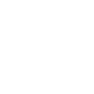  Hyundai club