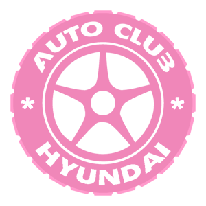  Hyundai club