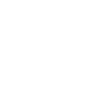      Hyundai club -   133 .