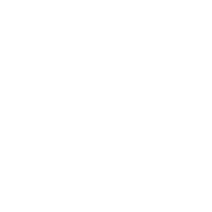      Alfa Romeo club -   133 .