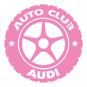  Audi club -   133 .