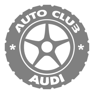   Audi club -   133 .
