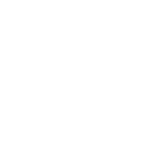      BMW club -   133 .