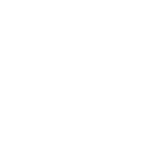 ����������� �� ����������� ����� �������� �Citroen club� - ������ �� 133 ���.