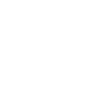  Dodge club -   133 .