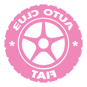      Fiat club -   133 .